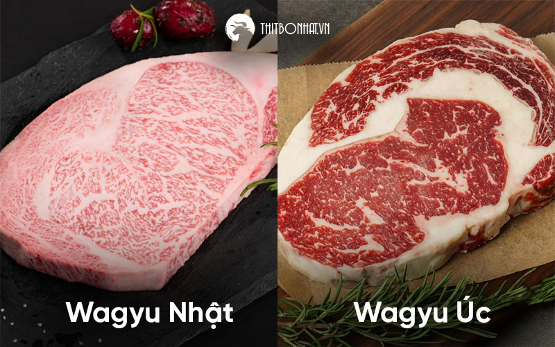 So sánh thịt bò Wagyu Nhật và Wagyu Úc