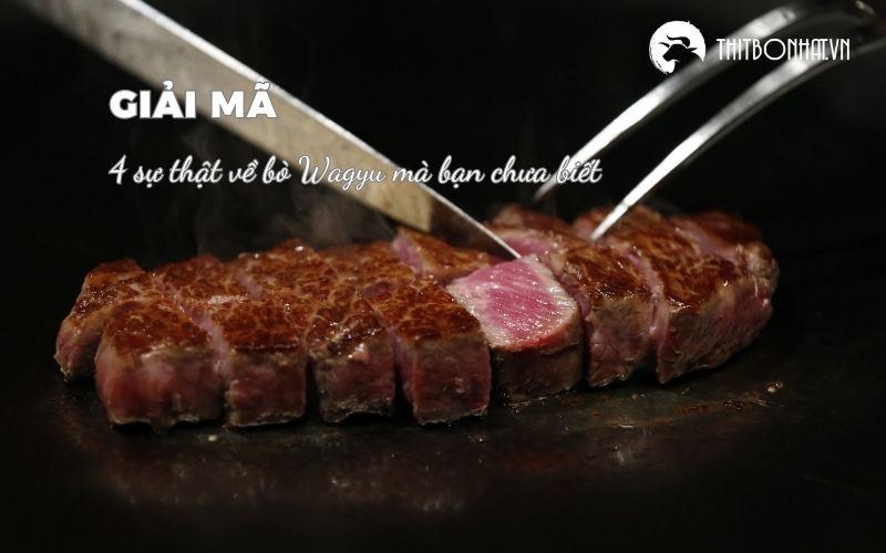 sự thật về thịt bò Wagyu