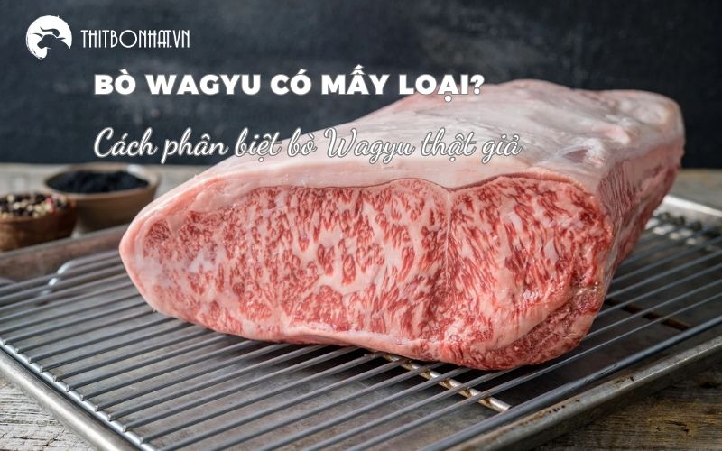 Bò Wagyu có mấy loại