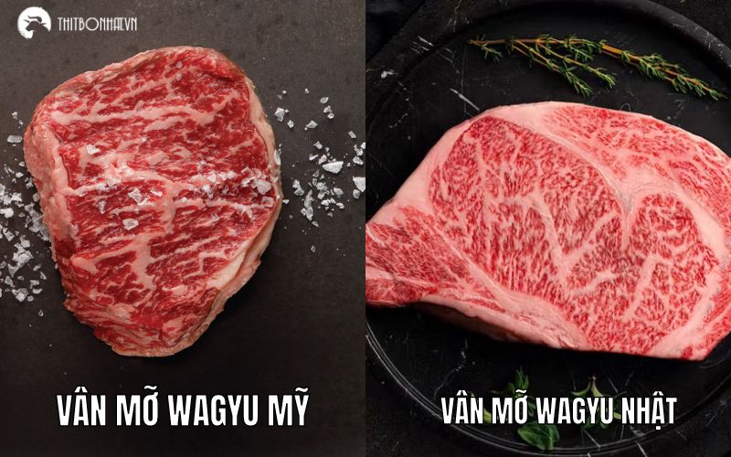 Mỡ vân của Wagyu Nhật Bản và Mỹ