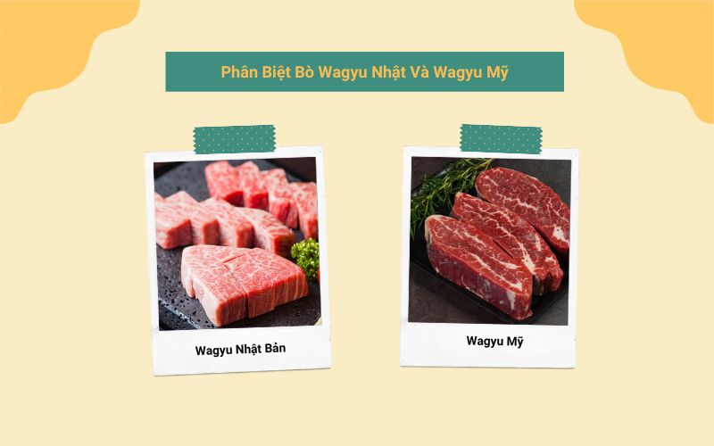 Phân biệt bò Wagyu Nhật và Wagyu Mỹ