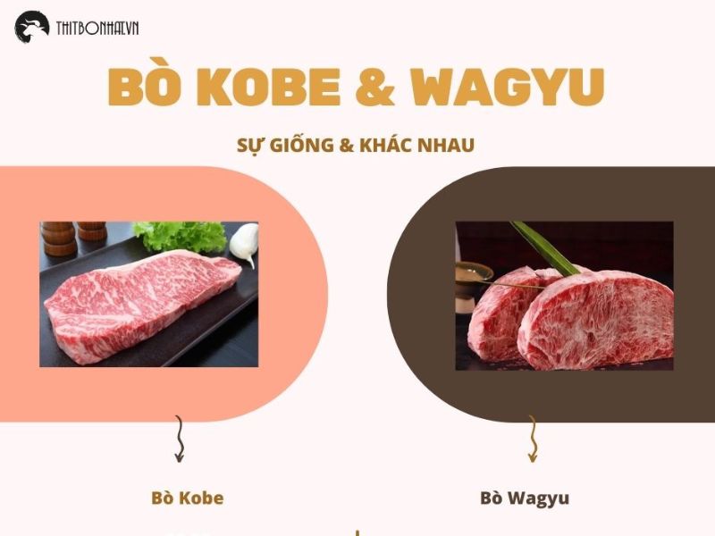 So Sánh Bò Kobe Và Wagyu