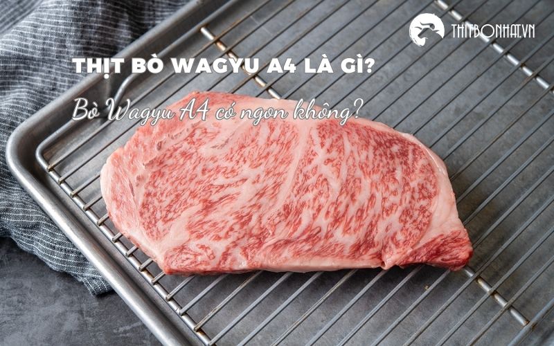 Thịt bò Wagyu A4 Nhật Bản