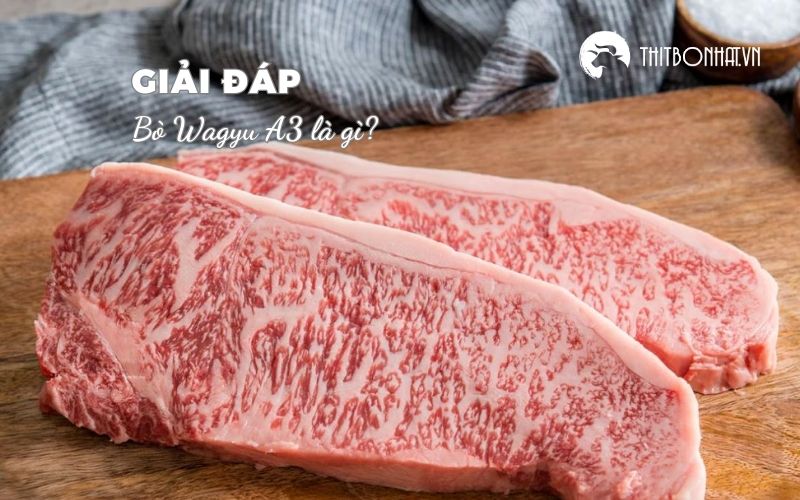 Bò Wagyu A3 là gì?