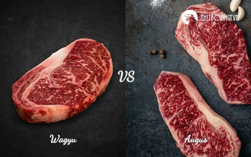 phân biệt bò wagyu với angus