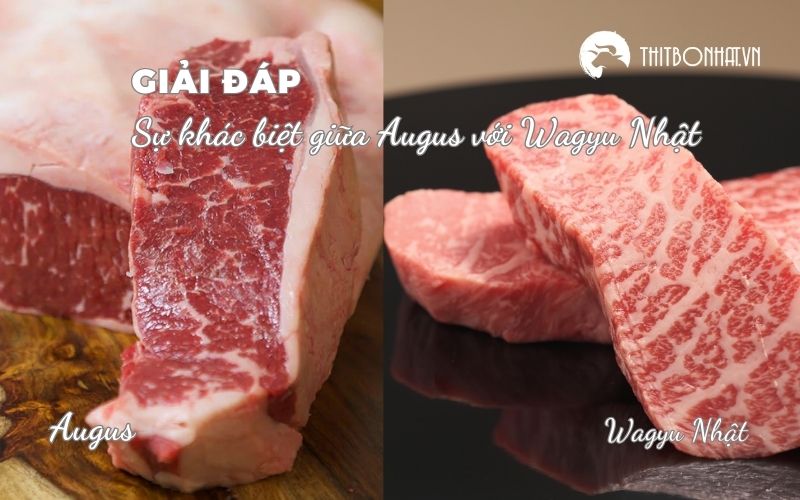 sự khác biệt giữa Augus với Wagyu Nhật