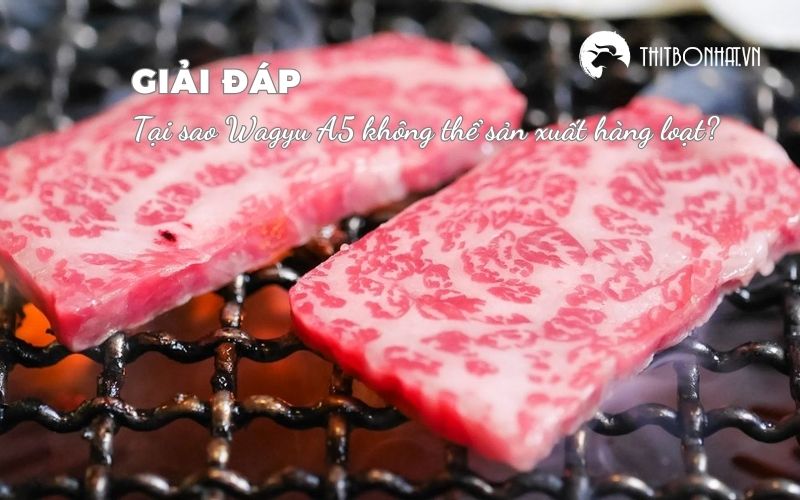 tại sao wagyu a5 không thể sản xuất hàng loạt