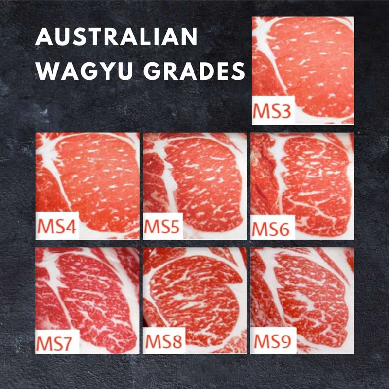 Xếp hạng bò Wagyu Úc
