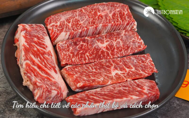 Tìm hiểu chi tiết về các phần thịt bò và cách chọn