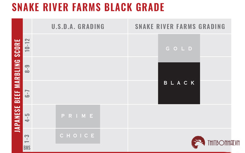 Thang đo chất lượng bò wagyu mỹ snake river farm