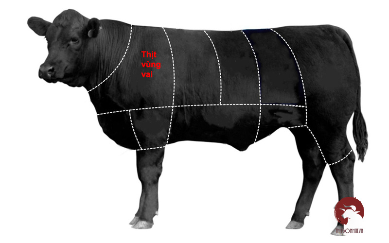 Tìm hiểu về lõi nạc vai bò Wagyu Mỹ